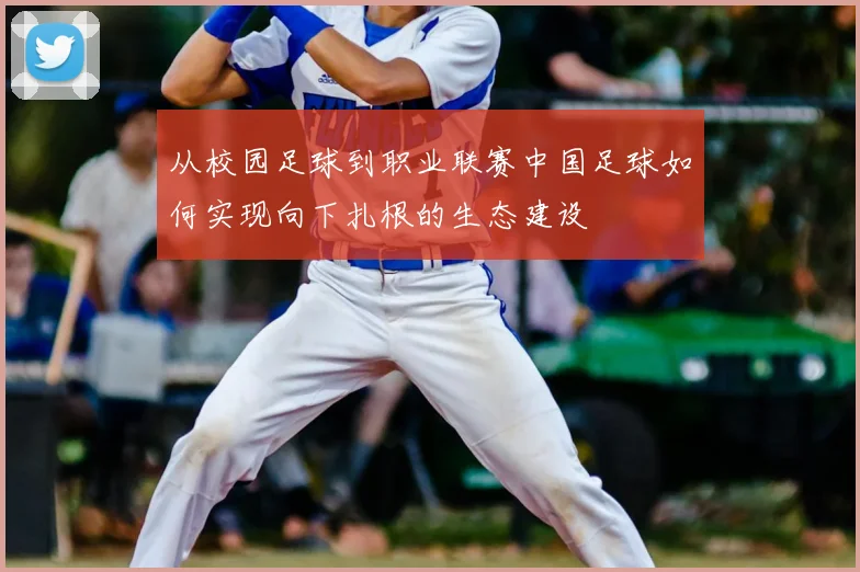 从校园足球到职业联赛中国足球如何实现向下扎根的生态建设