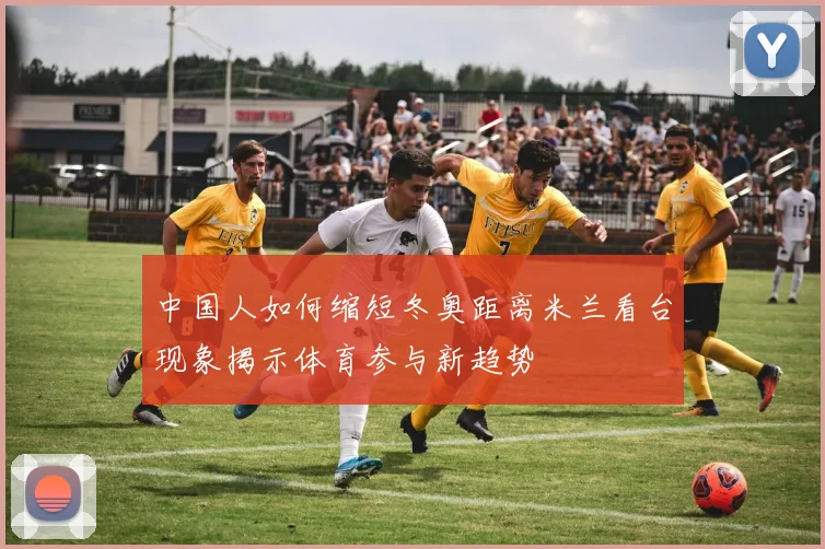 中国人如何缩短冬奥距离米兰看台现象揭示体育参与新趋势