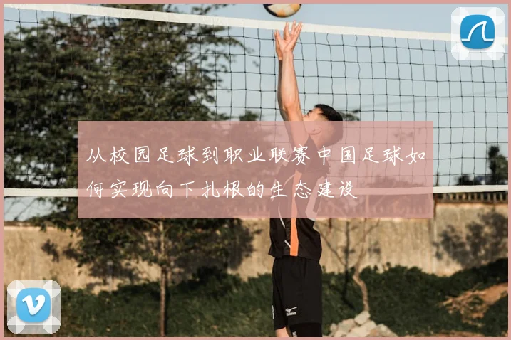 从校园足球到职业联赛中国足球如何实现向下扎根的生态建设